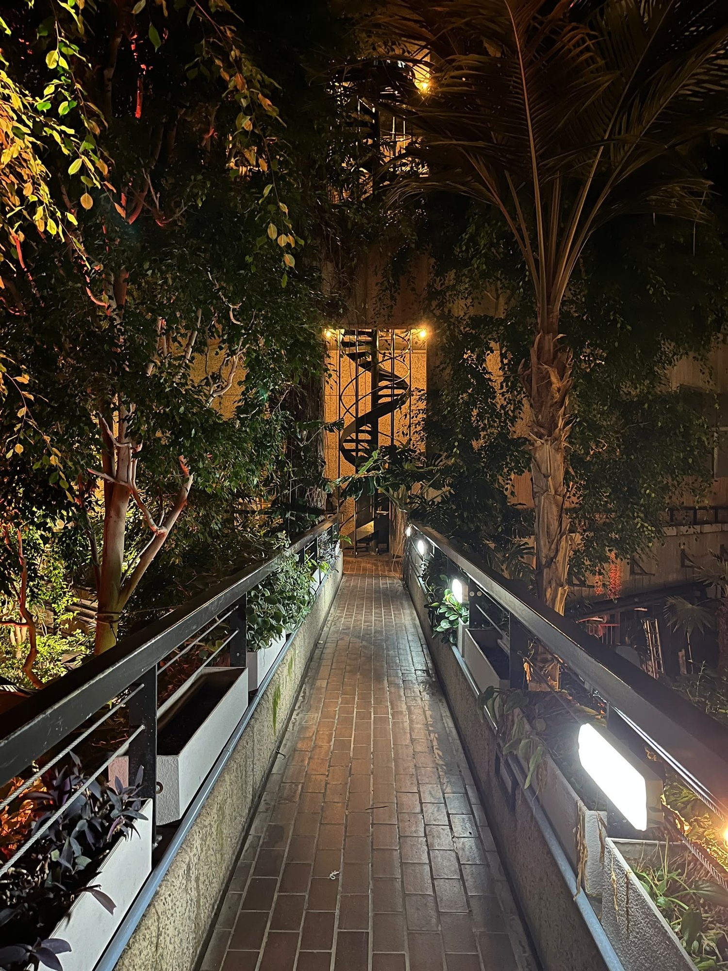 A lit brick walkway through the Conservatory at night, leading to a spiral staircase